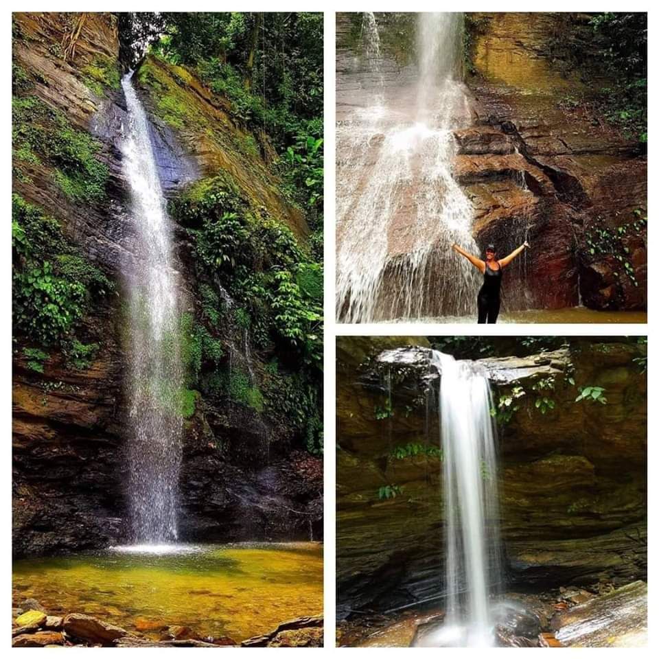 Buddha (Vine) Falls, Double River Falls & Sobo Falls,Brasso Seco