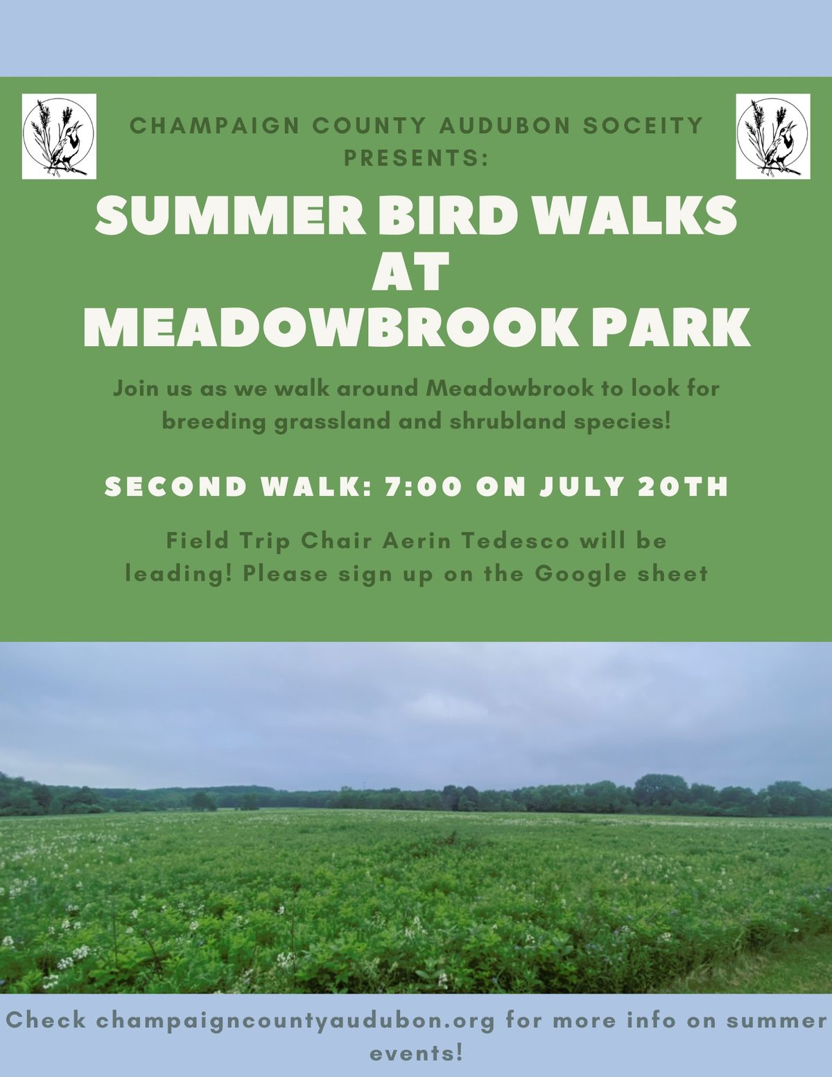 July Summer Bird Walk at Meadowbrook Park