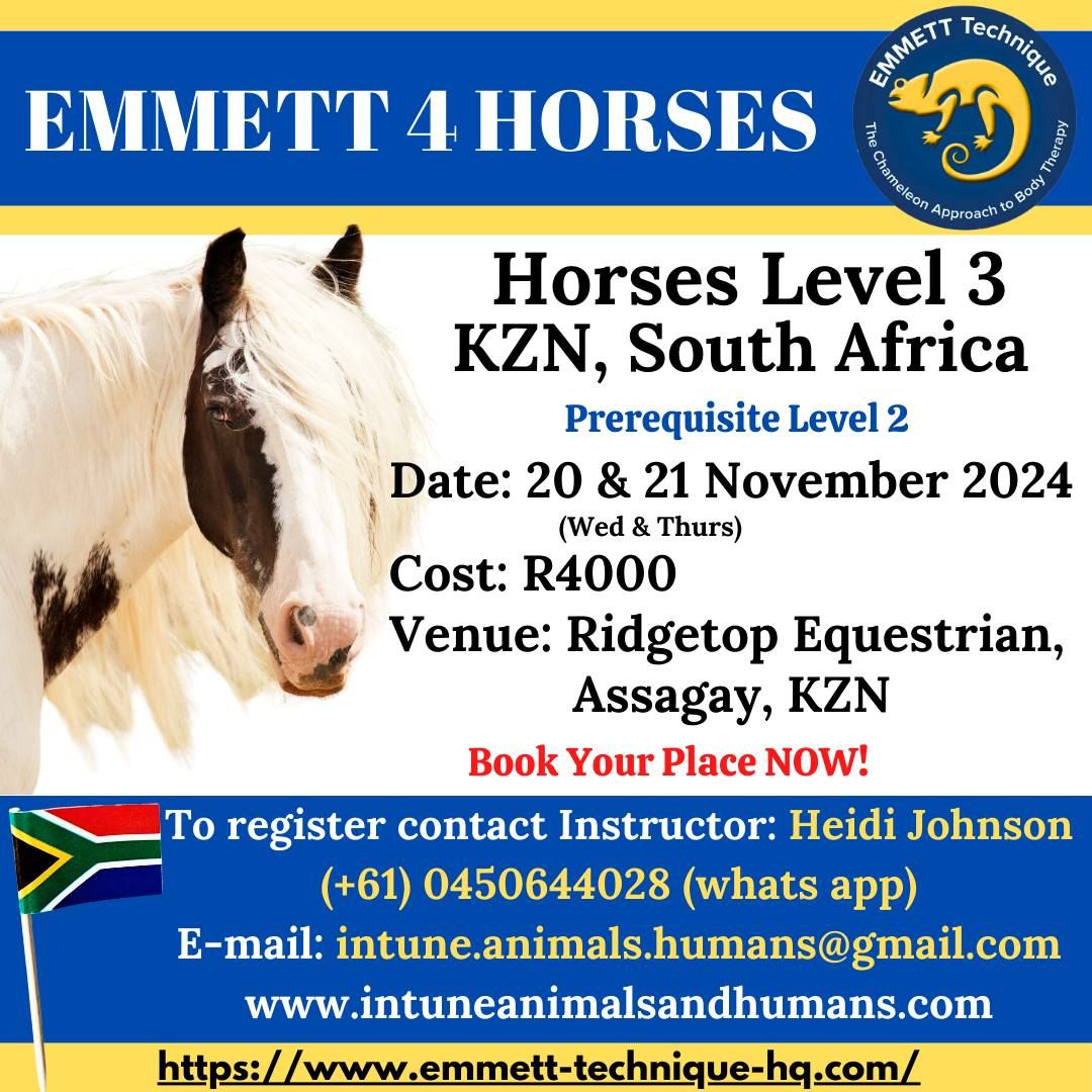 EMMETT 4 Horses - Level 3 - Assagay, KZN - 20 & 21 November 2024