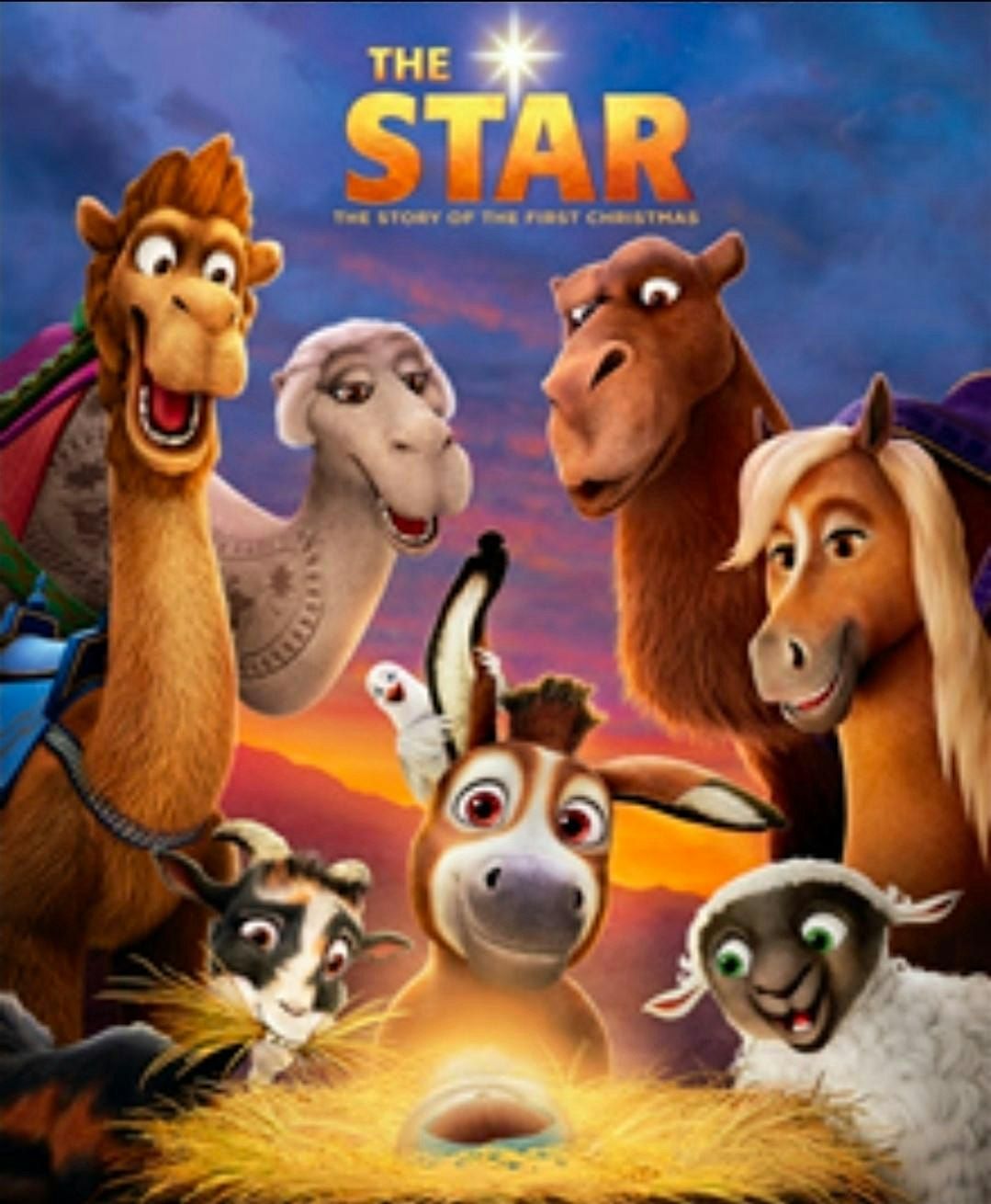 Youth Movie Night  Ages 6yr-12yr