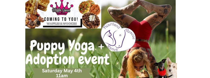 Puppy Yoga + Adoption Event! 
