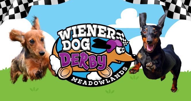 Meadowlands Racetrack Wiener Dog Derby