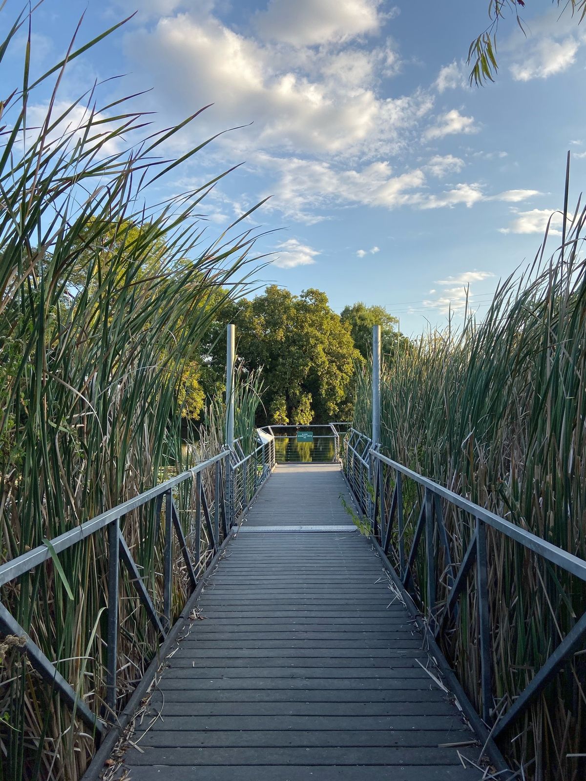 Outdoor Academy: Celebrating Wetlands!