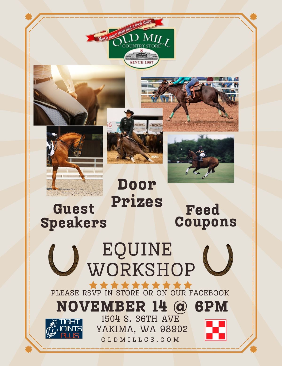 Equine Workshop