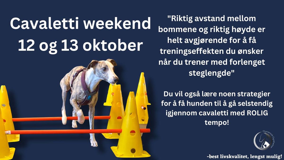 Cavaletti Weekend 12 og 13 oktober