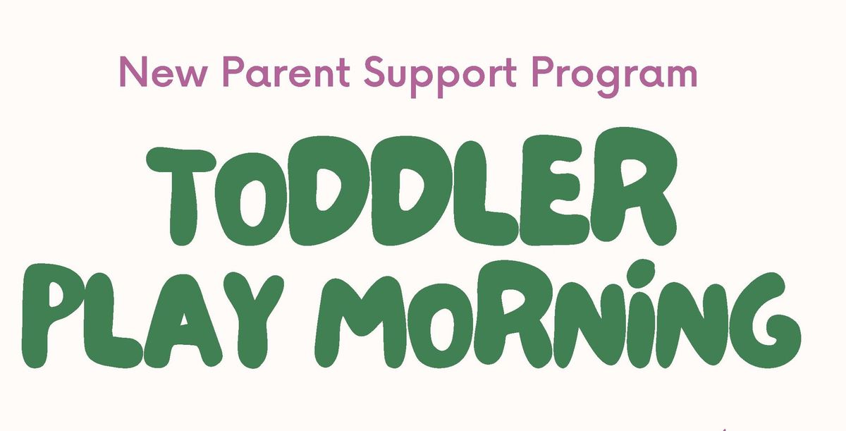 Toddler Play Group 