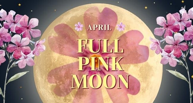 Full Pink Moon Releasing