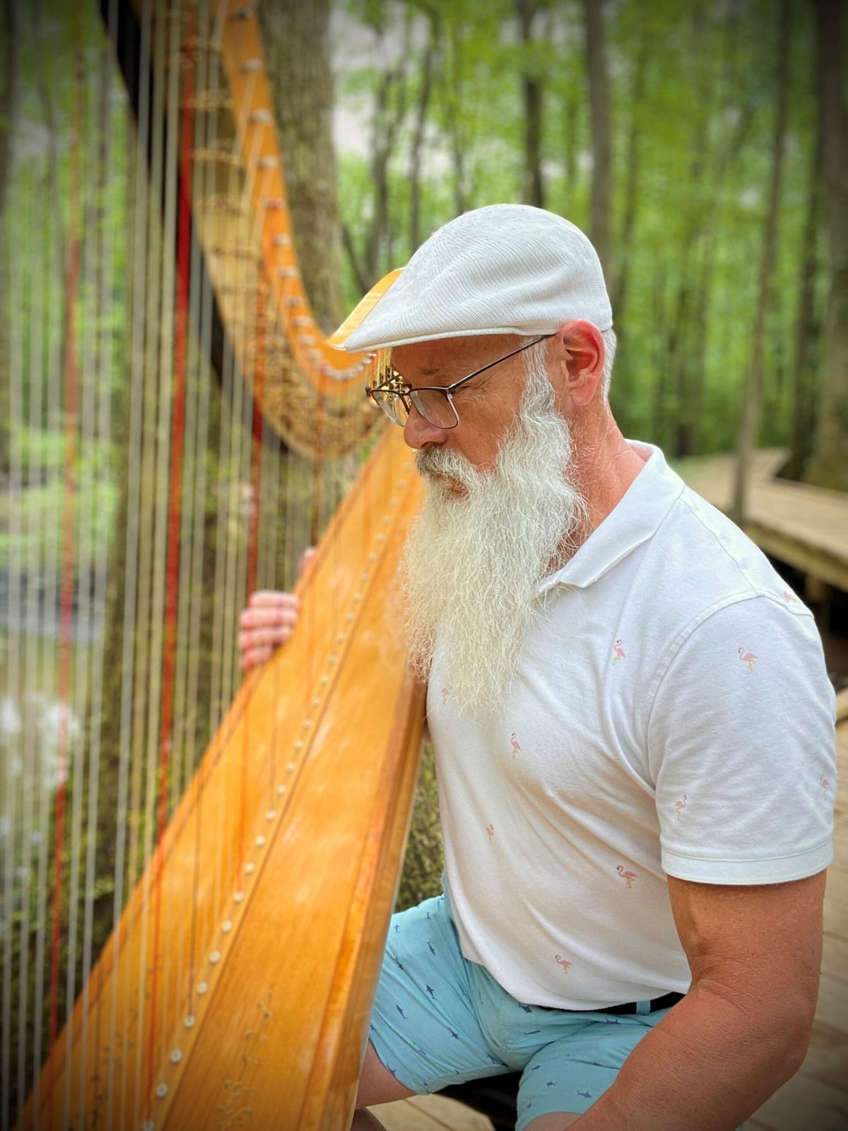 $5 After 5P.M. \u2022 Harpist Steven Miller 