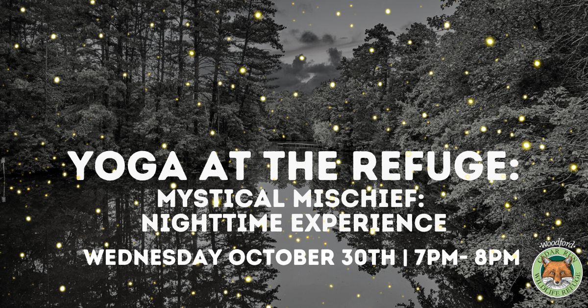 Yoga at the Refuge: Mystical Mischief: Nighttime Experience