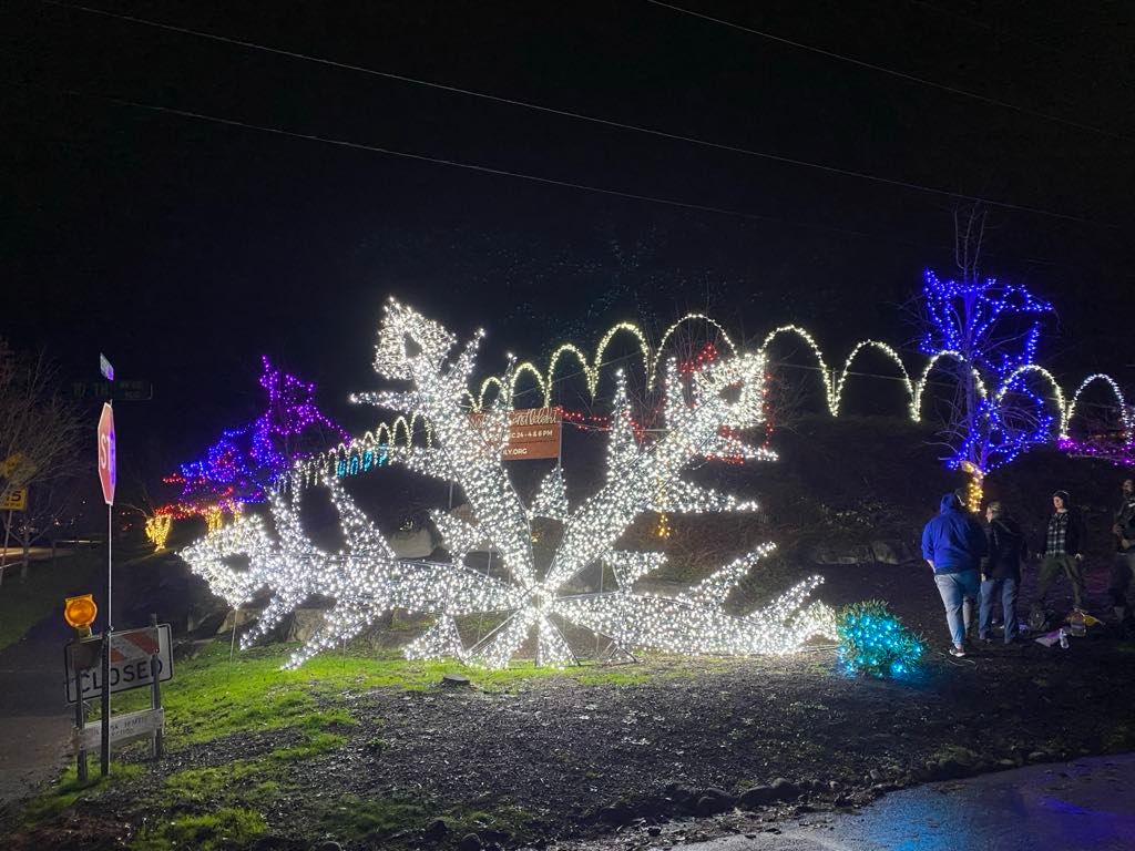 Giant Snowflake Information Session