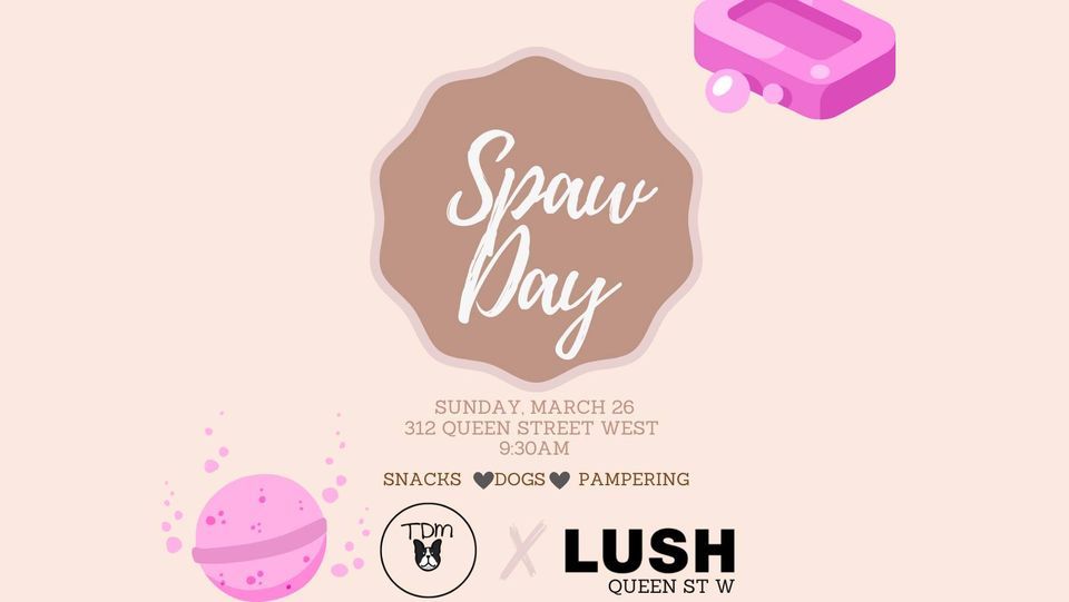 Spaw Day With Lush 