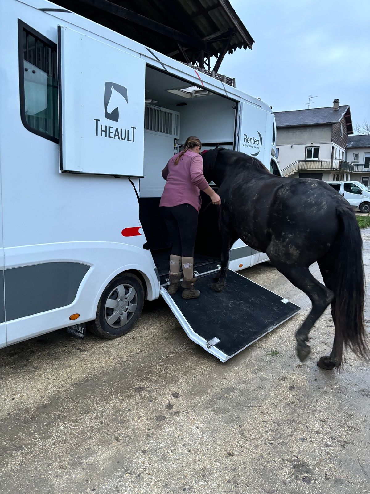 \u00c9duquer ou r\u00e9\u00e9duquer son cheval \u00e0 l\u2019embarquement 