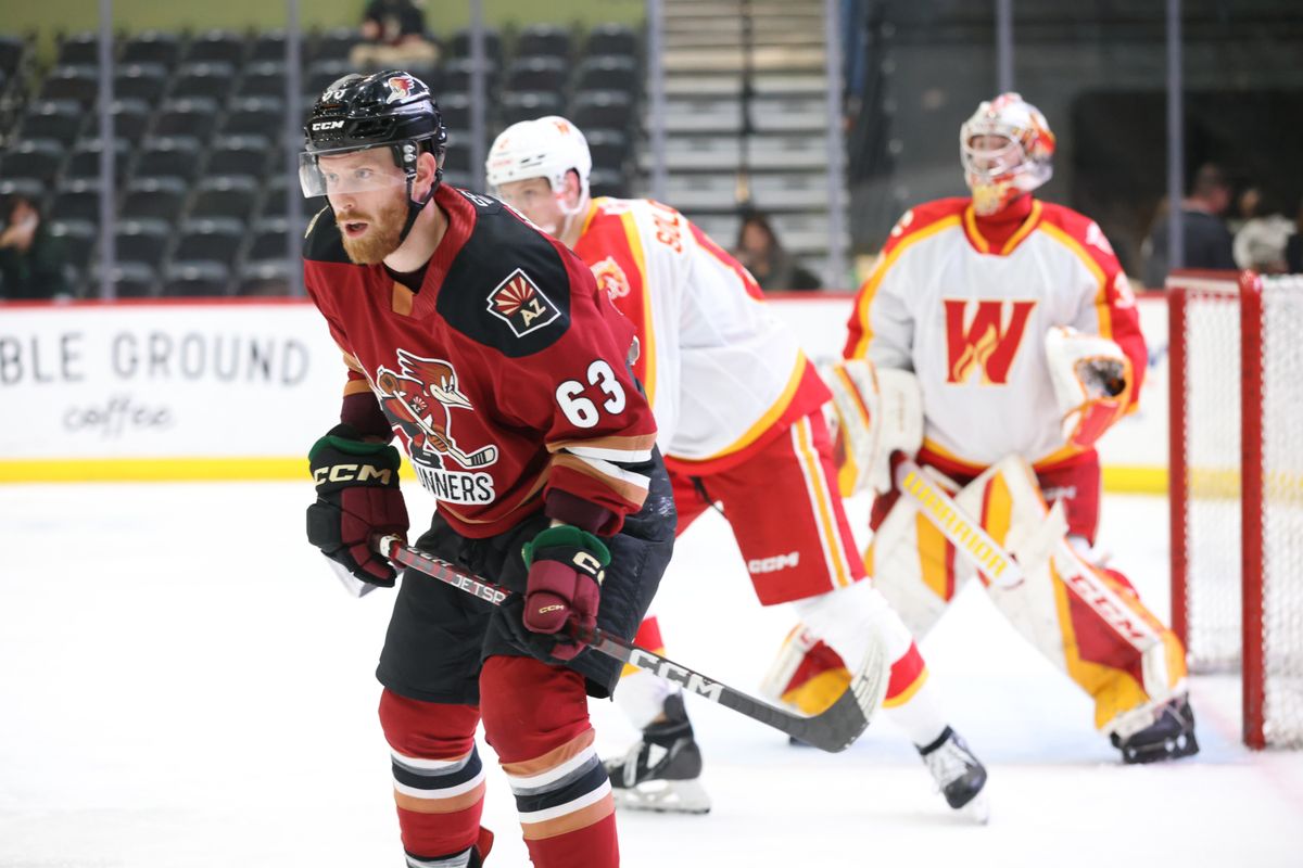 Calgary Wranglers vs. Tucson Roadrunners