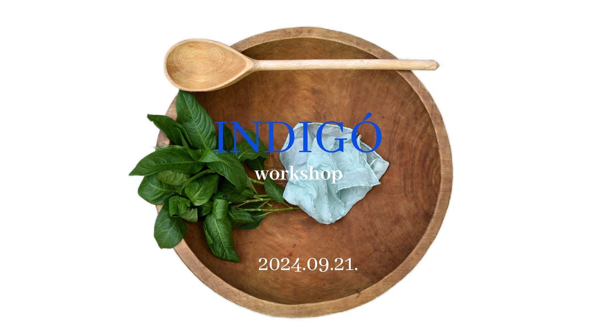 Indig\u00f3 workshop