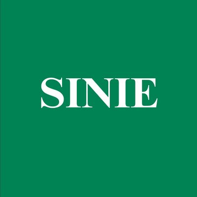 SINIE INTELLECT PRIVATE LIMITED