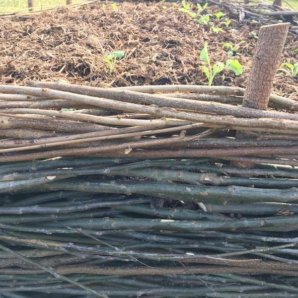 Hazel-weaving for Garden Beds 