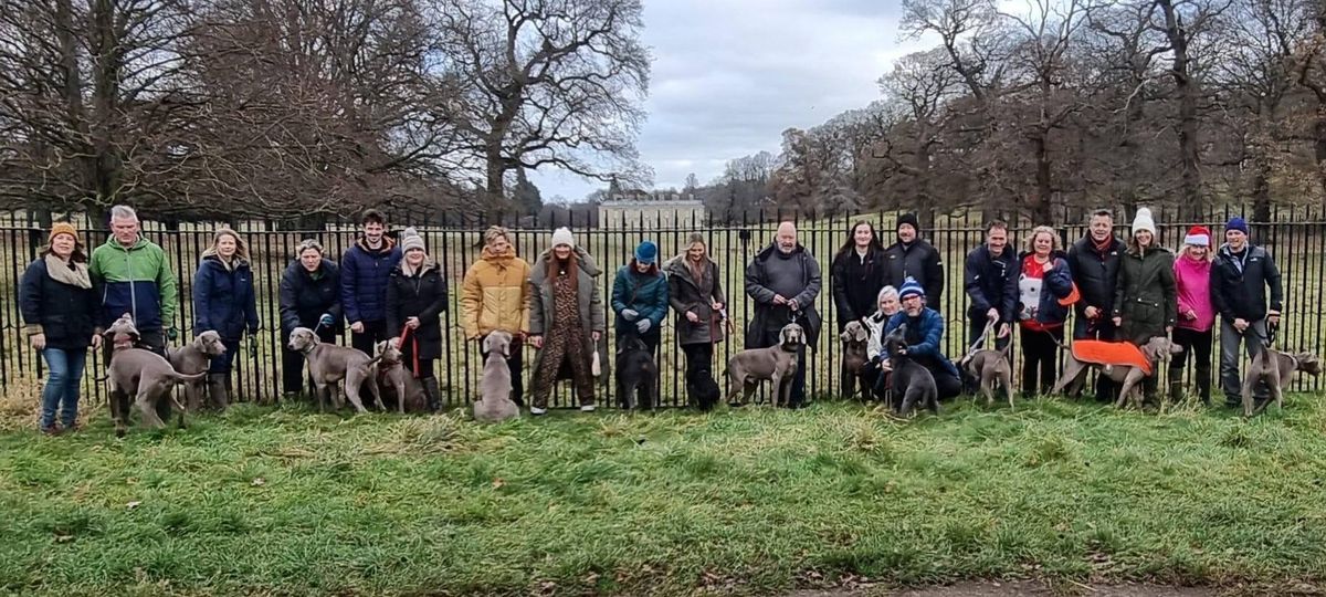 Christmas Pack Walk - Althorp Coaching Inn