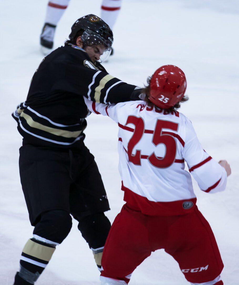 Dubuque Fighting Saints at Muskegon Lumberjacks