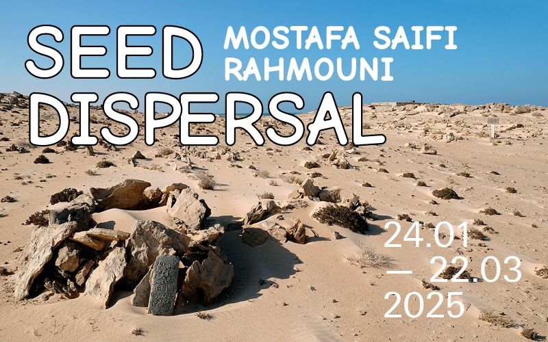 Exposition : Seed Dispersal de Mostafa Saifi Rahmouni