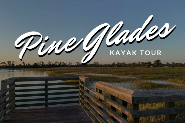 Sunset Kayak Tour: Pine Glades Natural Area