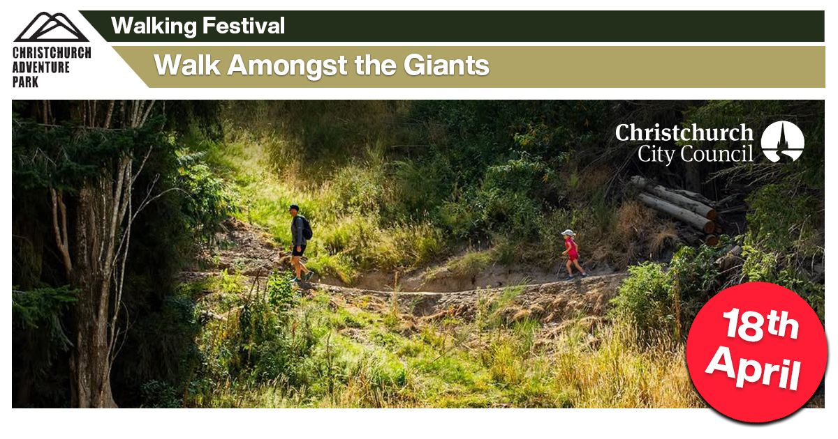 Walk Amongst the Giants - CCC - Walking Festival