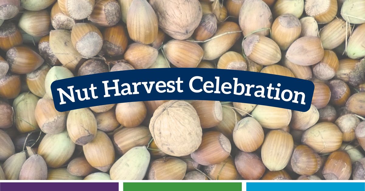 Nut Harvest Celebration