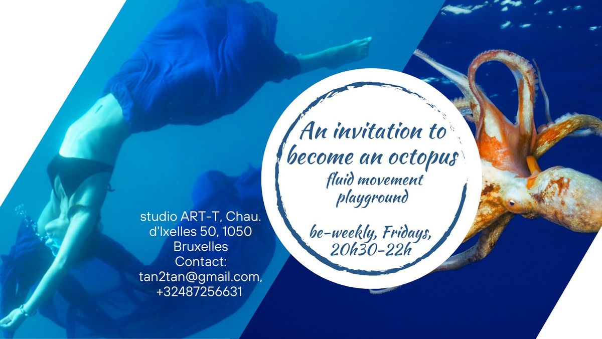 An invitation to become an octopus: fluid movement playground