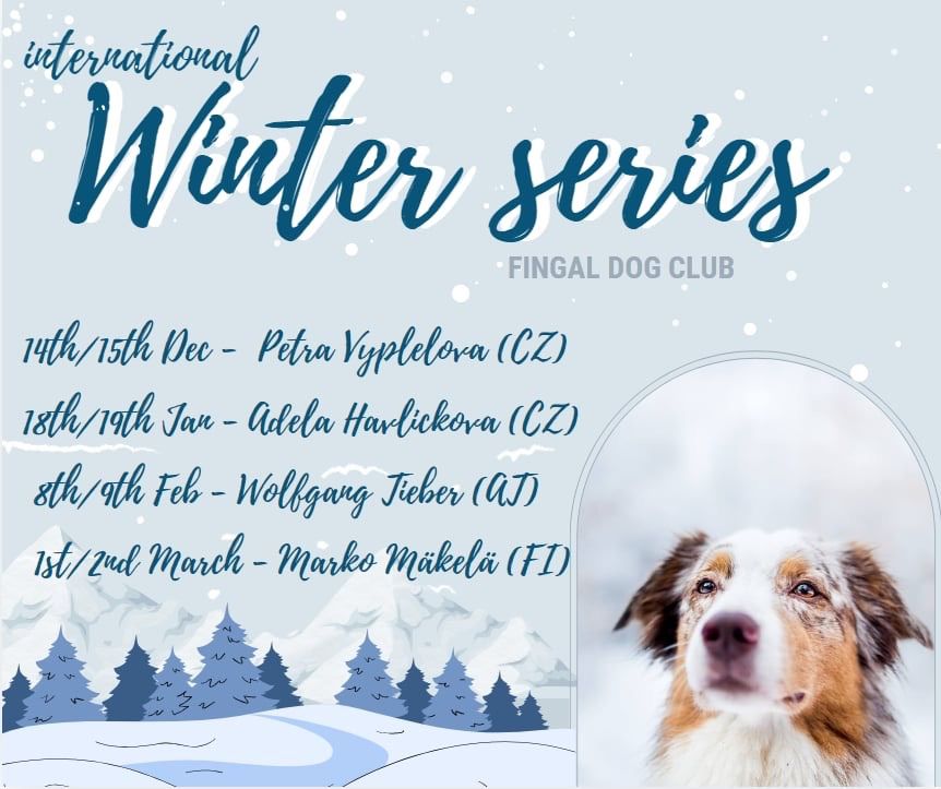 International Winter Series vol.4