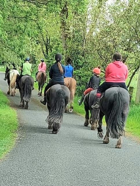 Pony Camp Activity  Day