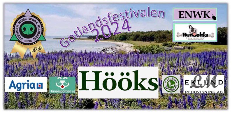 Gotlandsfestivalen 2025