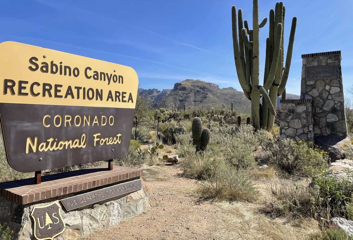 Sabino Canyon Hike