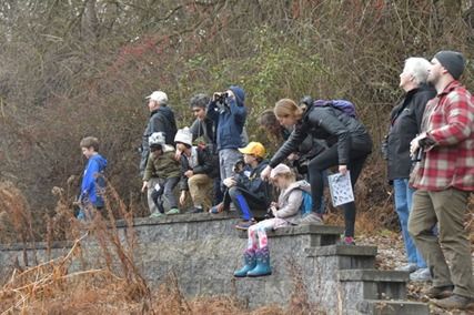 Kid's Christmas Bird Count 2024