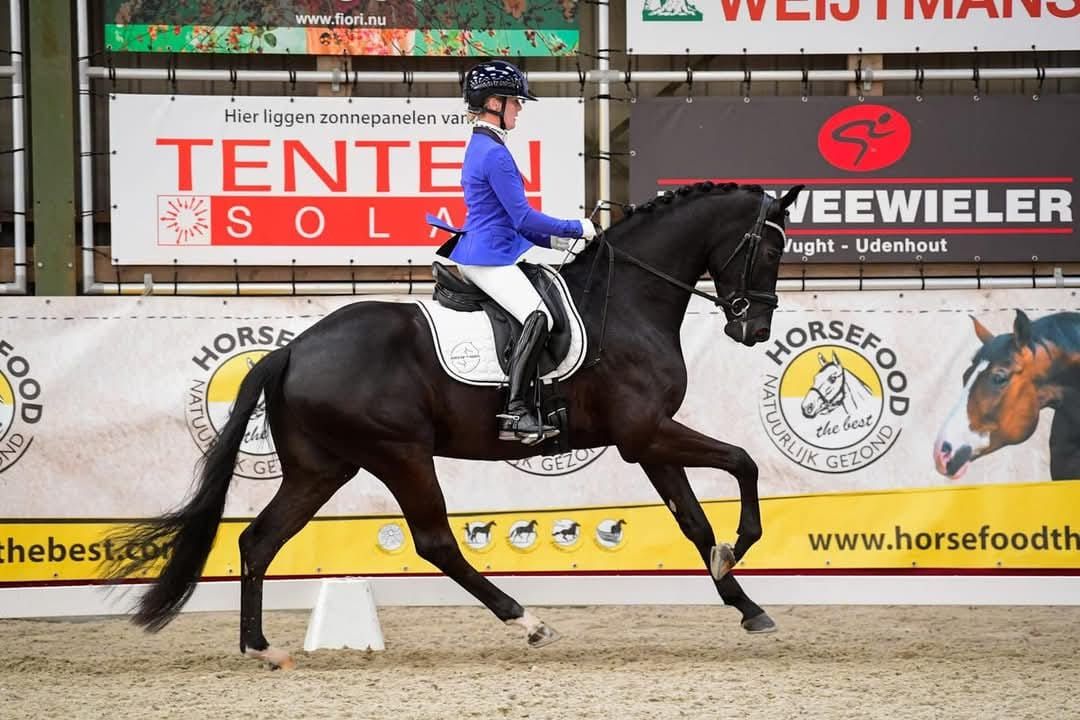 Horsefood Dressuur Talent 2025 SELECTIE