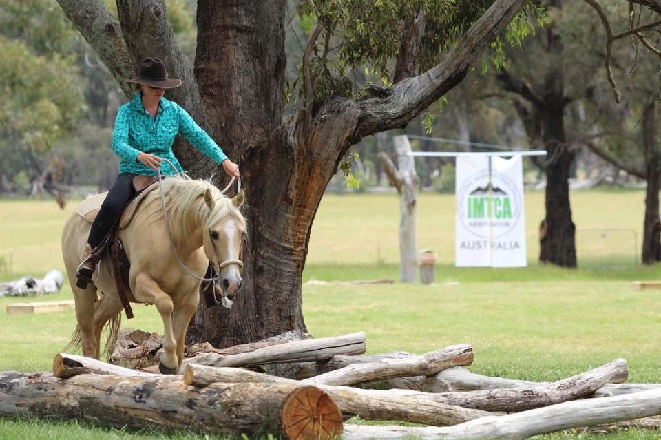 EMPOWERED HORSEMANSHIP Intro Workshop Day