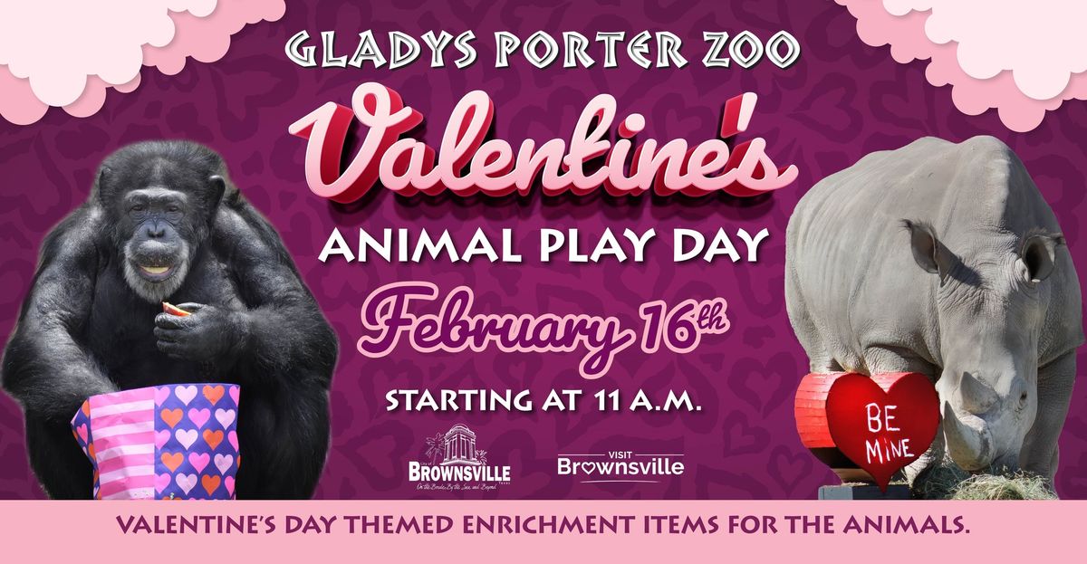 Valentine's Animal Play Day