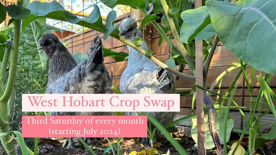 West Hobart Crop Swap #3