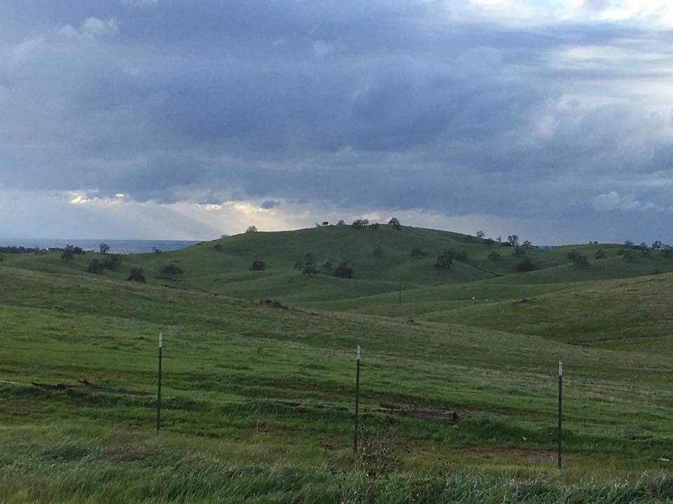 Mariposa County Farm Bureau Annual Fundraiser Prime Rib Dinner