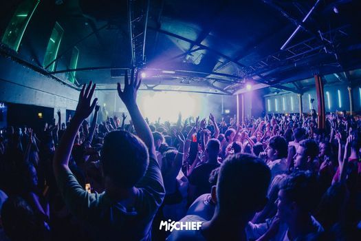 Mischief | SATURDAY SPECIAL