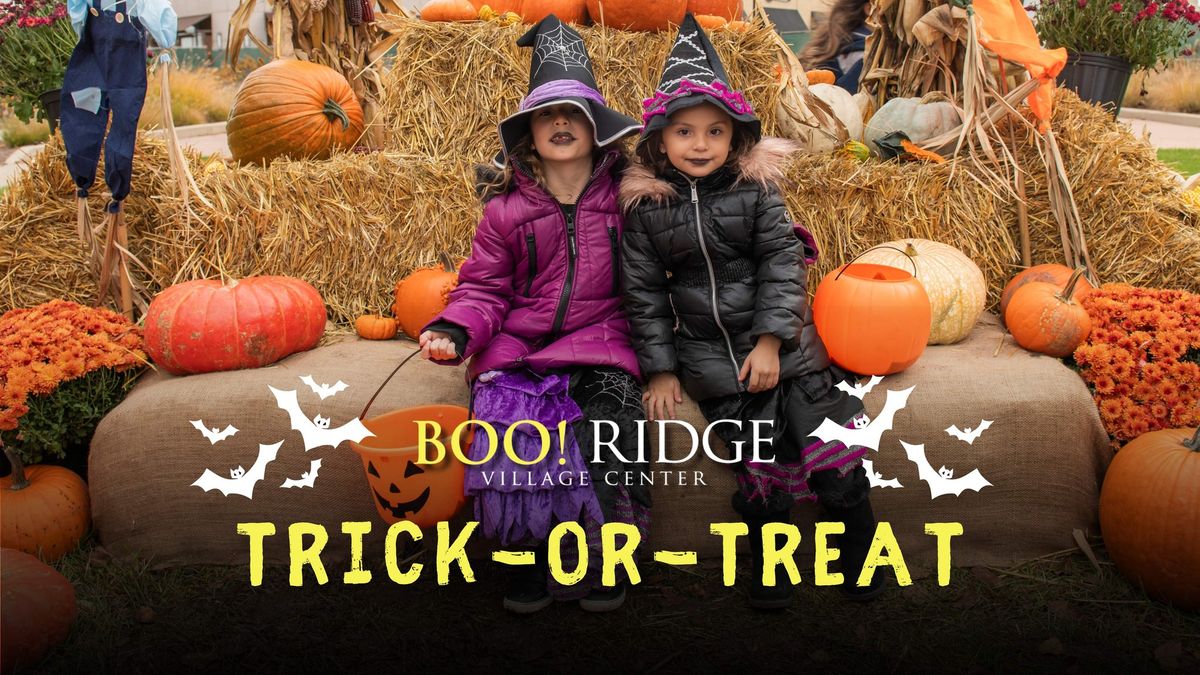 Boo! Ridge: Halloween at Burr Ridge Village Center