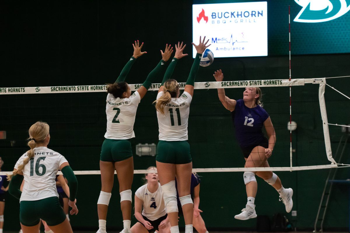 Sacramento State Hornets at Weber State Wildcats Womens Vollleyball