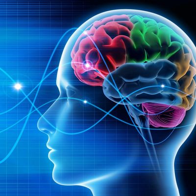 Education for Life CIC