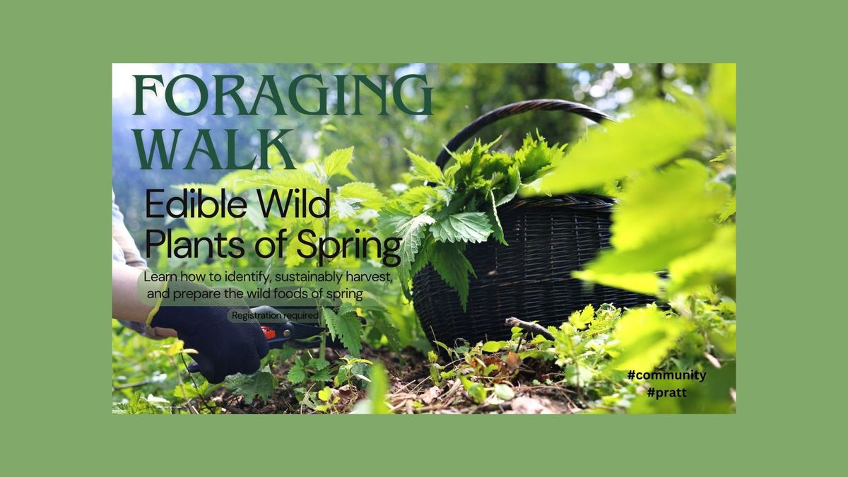 Foraging Walk:Edible Wild Plants of Spring by The 3 Foragers