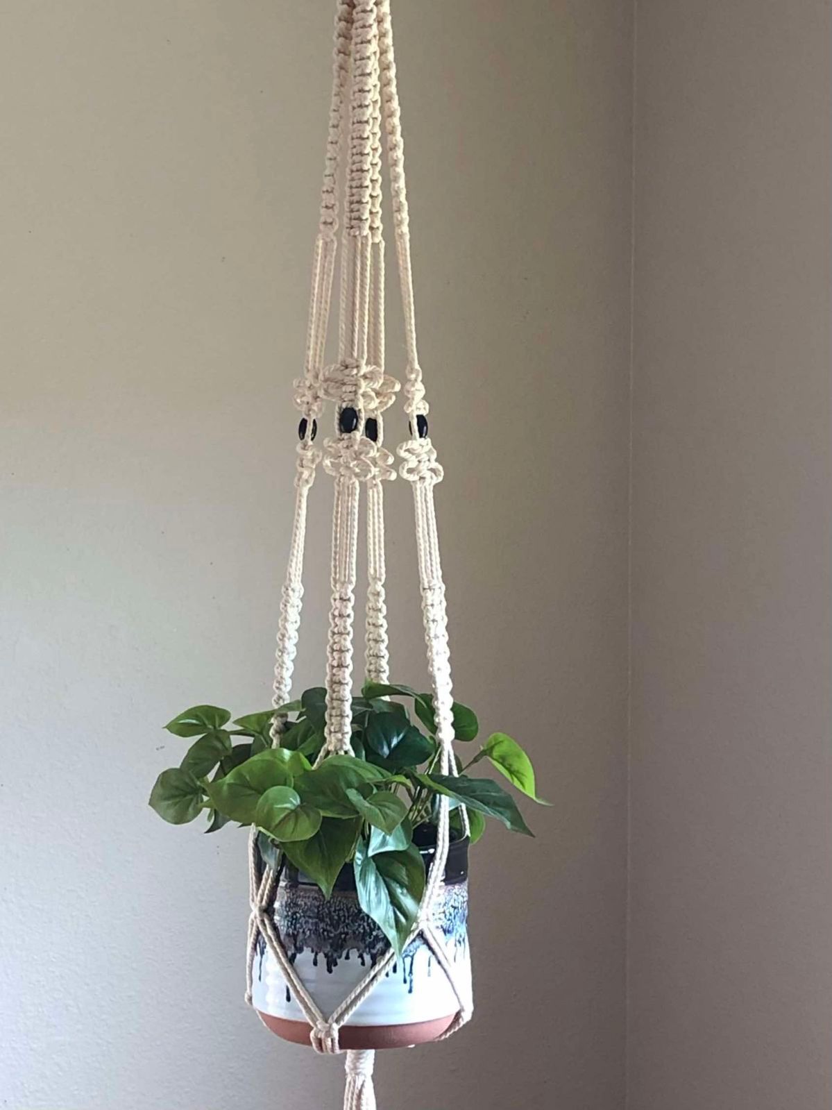 Macrame Plant Hanger Class