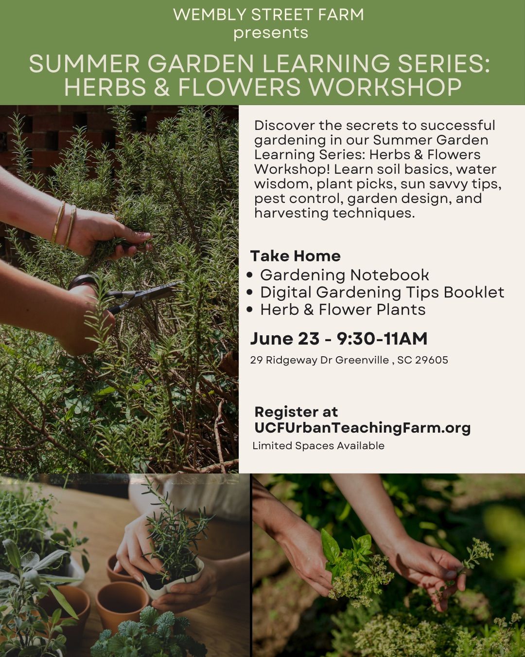 Summer Garden Learning Series: Herbs & Flowers Workshop 