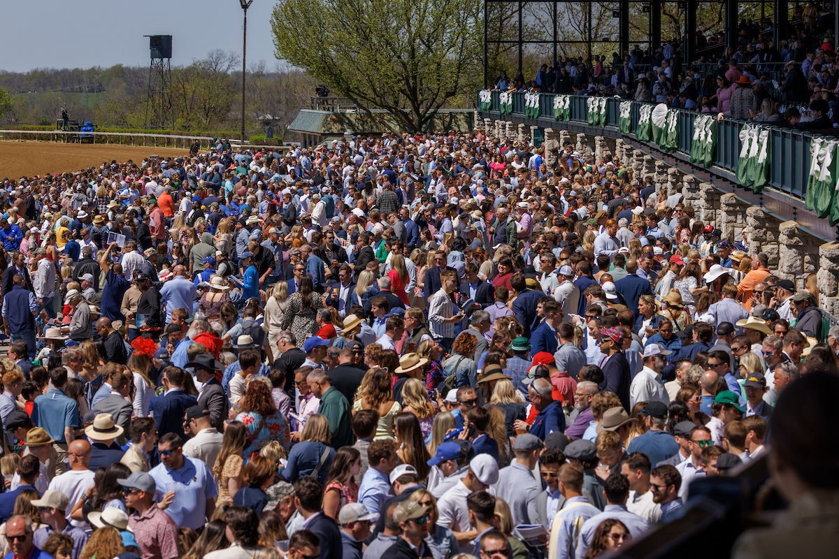 Thanksgiving at the Races