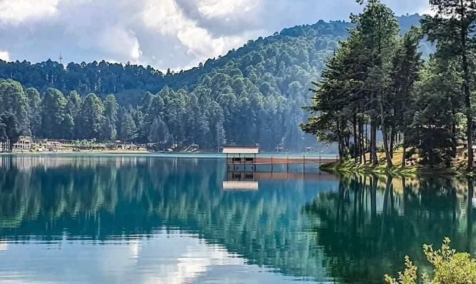 Excursi\u00f3n Santuario  Mariposa Monarca \u2022 Los Azufres 