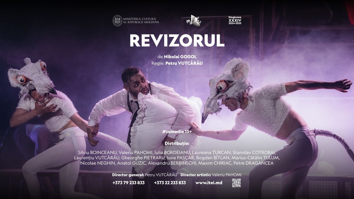 Revizorul