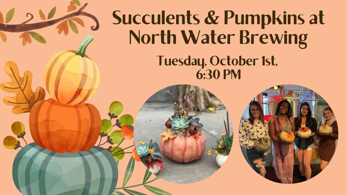 Succulents & Pumpkins at North Water Brewing