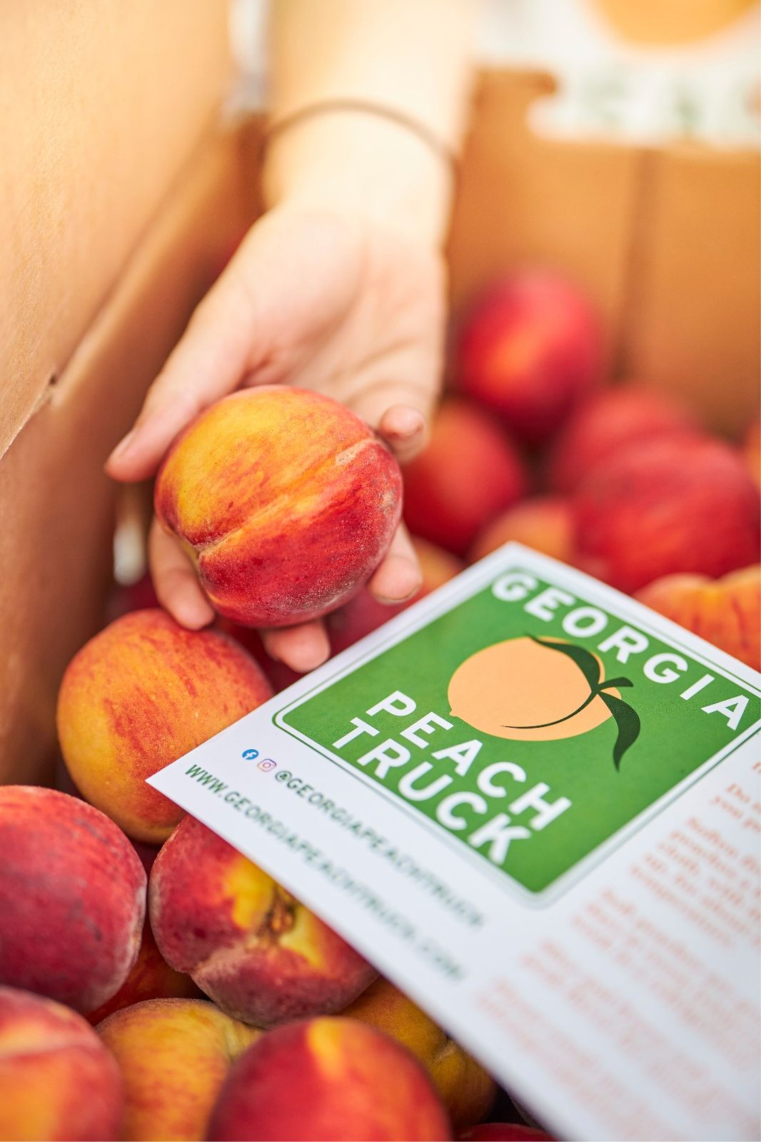 Georgia Peach Truck @ FGS!