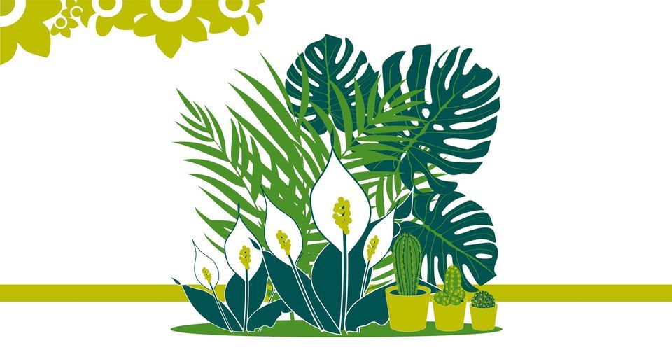 Millbrook Growers Talk: Houseplants